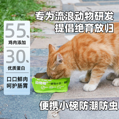 请它们吃一碗饭流浪猫