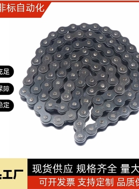 链条 CHE15 CHE25 CHE35 CHE40 CHE50 CHE60 CHE80