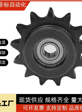 SP40B21-N/S-14/15/16/17/18/19/20/22/24/25/28/30/32/35/40链轮