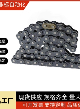 VMB/VMC/VMD/VMF/VMG/VMK/VML/VMN01-25/35/40/50/60/80/100 链条