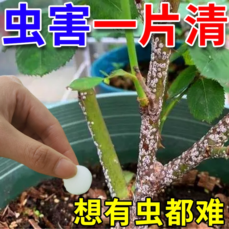 园艺防虫片月季多肉杀虫剂家庭花卉植物小白药菜地驱虫蔬菜防害虫-封面