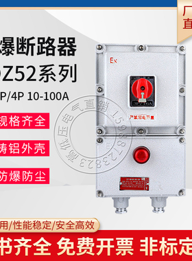 BDZ52防爆断路器10A16A20A32A63A100A带漏电开关箱2P3P4P220V380V