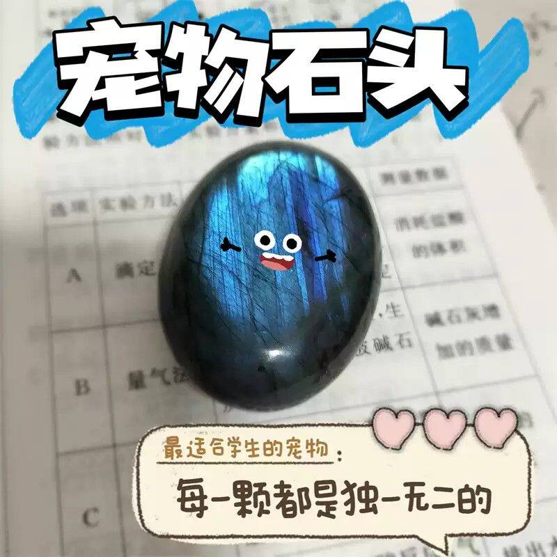 宠物石头天然水晶原石月光石稀罕宠物把玩摆件学生陪伴治愈拉长石