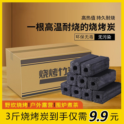 烤火烧烤炭烤肉烤串烧烤碳