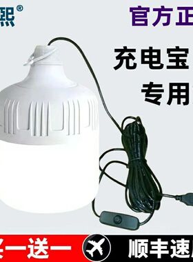 5v USB插口led应急灯泡摆地摊 户外照明灯泡超亮LED节能灯停电宝
