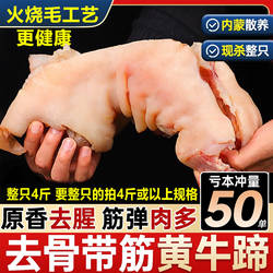 去骨牛蹄新鲜正宗黄牛牛蹄子整只带筋牛脚商用饭店卤菜食材熟牛蹄