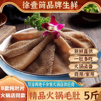 新鲜毛肚大叶片 串串食材牛百叶牛肚千层肚重庆牛肚商用包邮