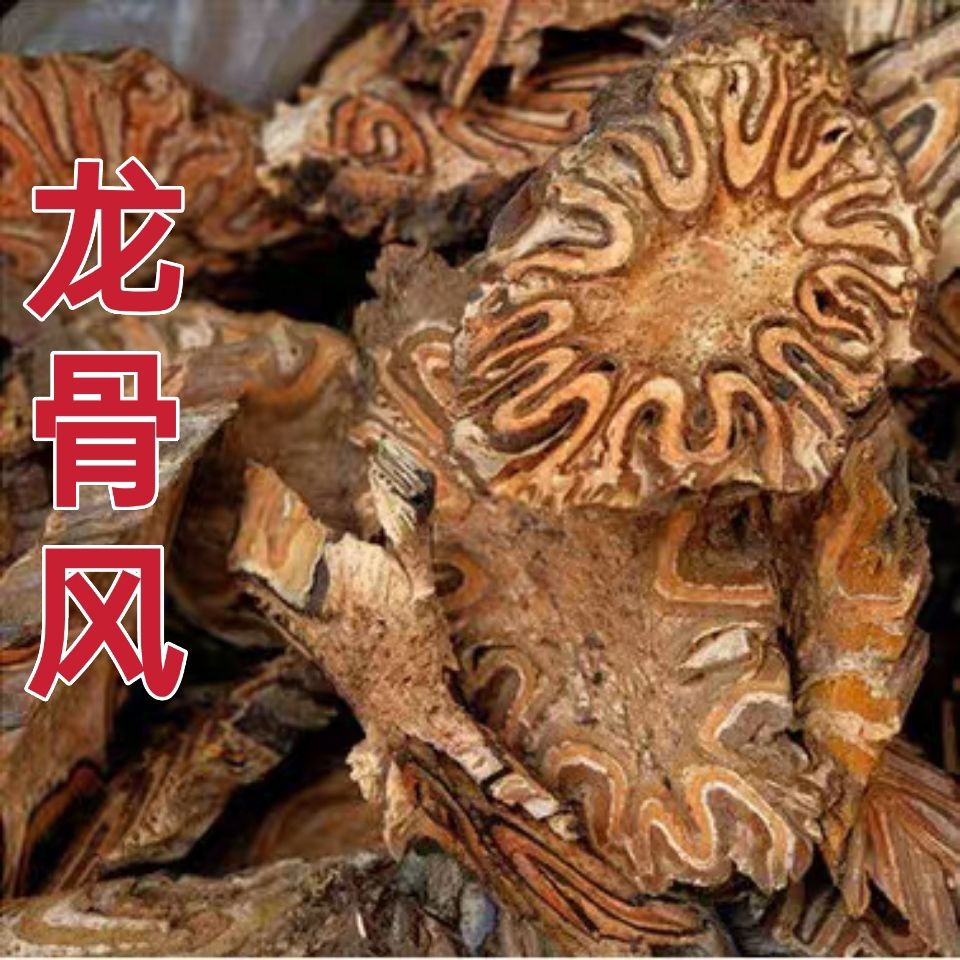 龙骨风50g1中药材正品野生新货桫
