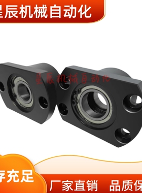 BFP51-6906ZZ 6006ZZ 6206 6007 6207ZZ-L35 L40 L50 L60带座轴承