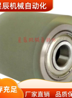 QAC42/QAC43-25 30 40A 50-L50 包胶滚轮 滚轮 带轴承型