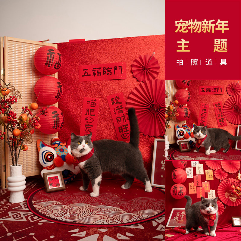 2025新年宠物拍照道具 红色中国风可爱动物猫咪狗狗居家摄影拍摄