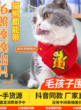 毛孩子新年围脖猫咪宠物狗礼物围脖针织保暖喜庆吉利好寓意小围巾