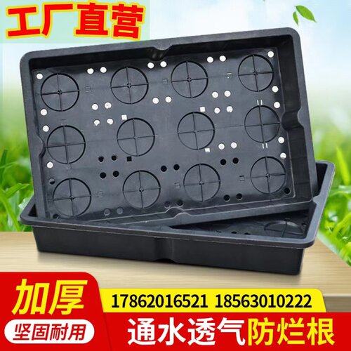 楼顶绿化种植容器佛甲草育苗
