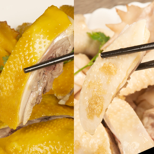 【顺丰冷运】正宗广东白切鸡盐焗鸡整只新鲜客家熟食白斩鸡土鸡