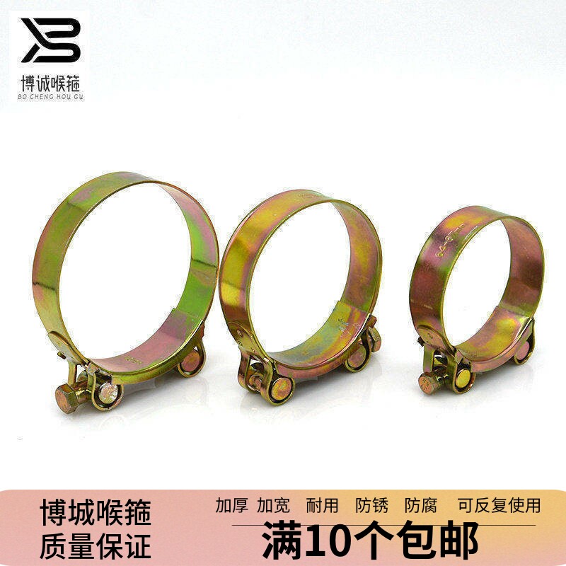 强力喉箍欧式铁镀锌加厚加宽管箍抱箍锁紧水管油管钢丝管加强卡箍