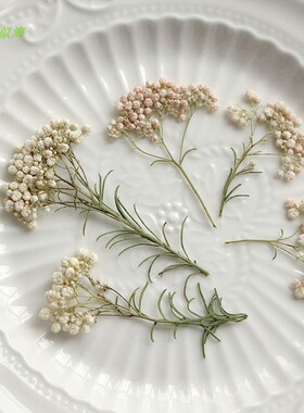 台灯花瓣装植标本小米花干花押花压花台灯真花diy材料包手工书签