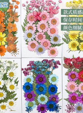 干花植物标本diy手工树叶混合