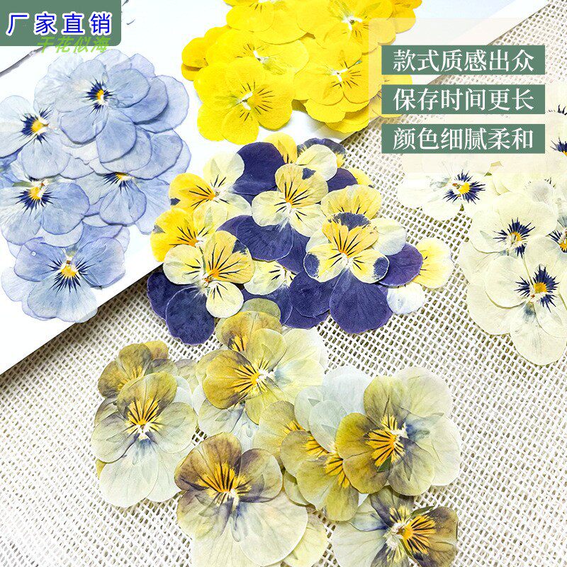 手工三色堇花贴脸压花画蜡烛台灯干花diy材料包相框美甲干花压花