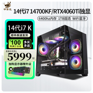 RTX4060TI独显6400HZ高频内存DIY台式 甲骨龙i7 13700KF 电脑电竞游戏设计办公视屏电脑主机14700 14700KF 组装