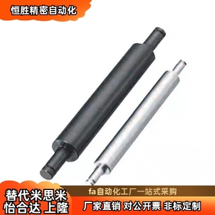 L18L30L100 D6D8D10D30D50 转轴MCM01