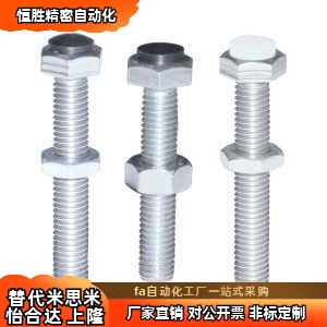 TDB91 TDB96 TDC01 TDC06 TDC11/16/21/26六角头带挡块螺栓调节型