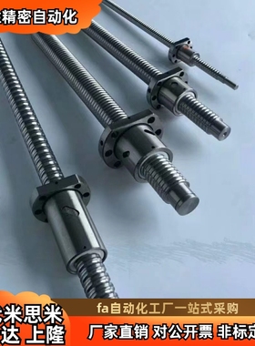 块状螺帽滚珠丝杠 LCG49-25-5/10-L200 L300 L400 L500-F27-P10