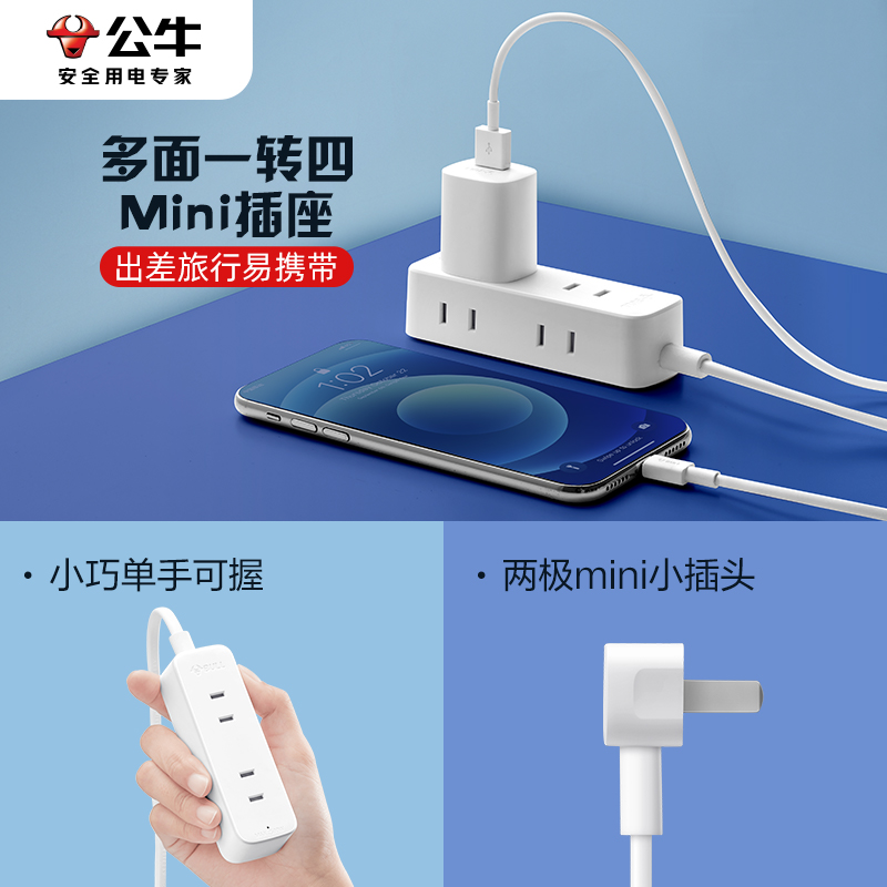 公牛两项两脚扁头插座