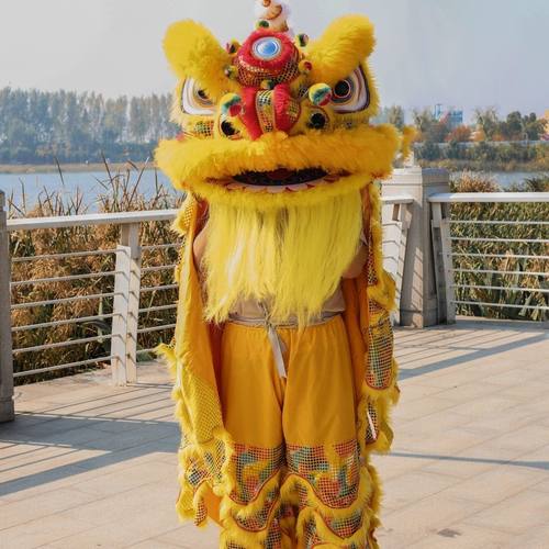 舞龙舞狮道具南狮小黄狮醒狮服装道具表演整套正品狮子头舞狮儿童