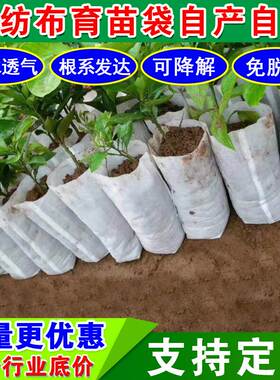 无纺布育苗袋推荐苗木营养袋12x15cm柑橘杯降解树苗容器钵美植袋