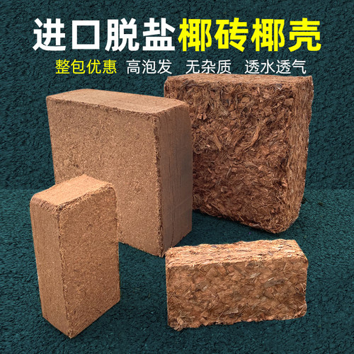 椰砖多肉吴掌柜植物通用