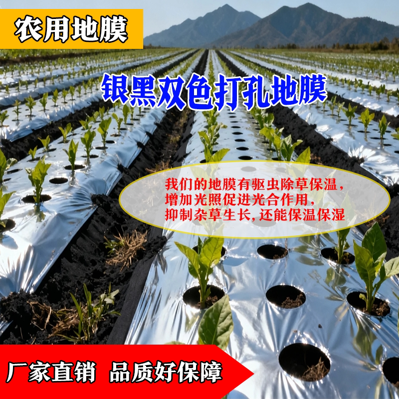 银黑双色免打孔地膜农用打孔有孔膜防草耐用反光种植专用带孔地膜