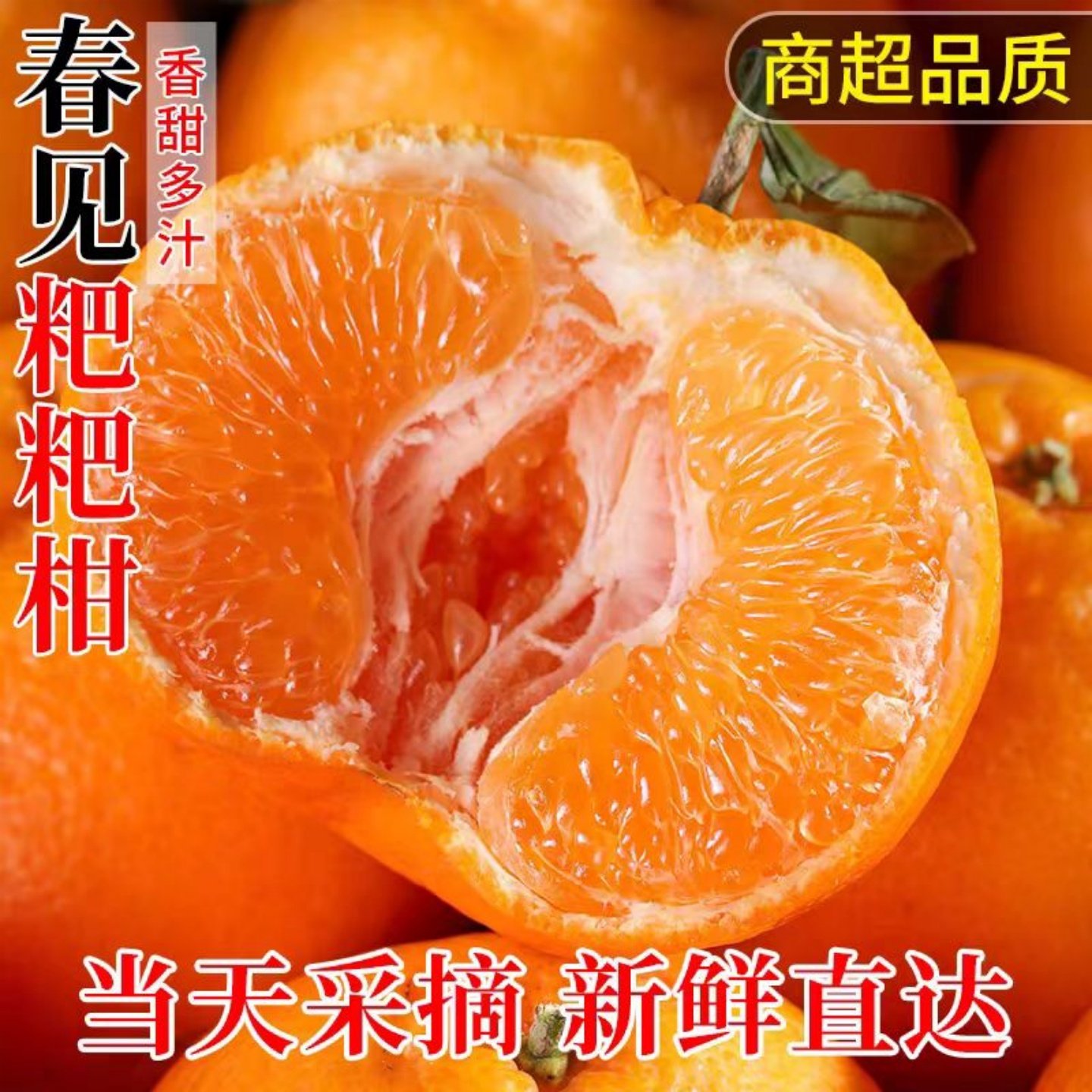 四川现摘粑粑柑正宗春见耙耙柑新鲜橘子水果应季杷杷丑桔包邮整箱,水产肉类/新鲜蔬果/熟食,桔子,淘宝优惠券,粉丝福利购,淘宝优惠卷