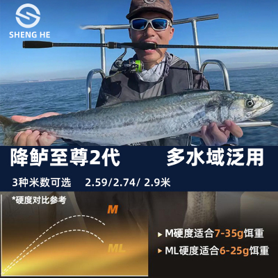 盛河降鲈至尊版2代远投路亚竿