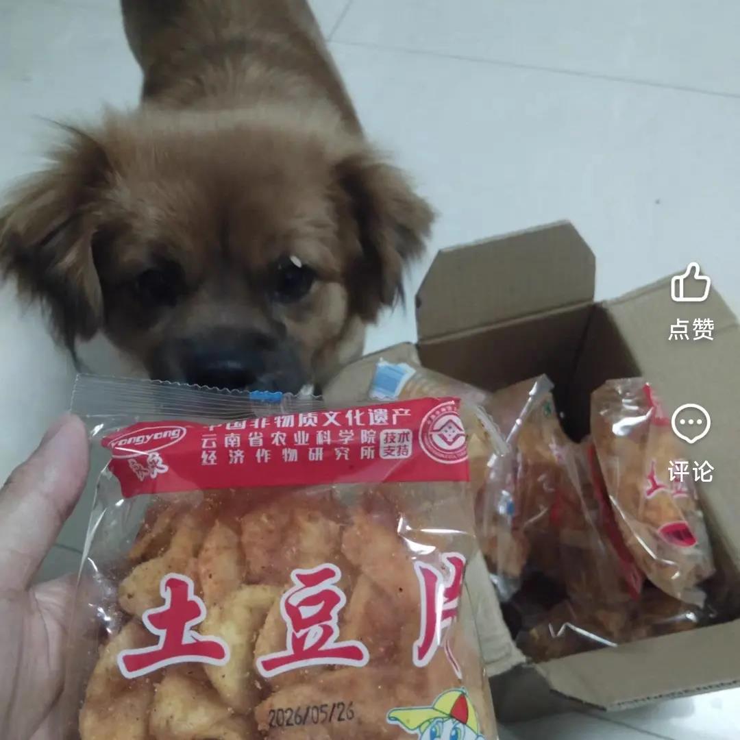 陆良麻辣土豆丝云南特产永永洋芋丝土豆片小包装香酥脆薯片零食