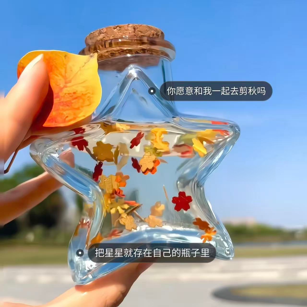 五角星玻璃瓶压花器儿童手工树叶枫叶收藏纪念diy创意剪秋许愿瓶