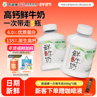 西湖牌低温鲜牛奶4.0g蛋白质巴氏杀菌儿童营养早餐奶500g*5旗舰店