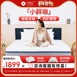 自然标记小胖墩800个弹簧床垫舒适乳胶家用加厚软硬两用独立袋装