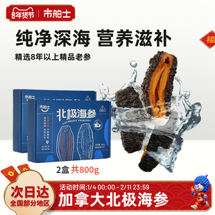市舶士加拿大北极海参即食海参深海捕捞礼盒装送礼8年以上红极参