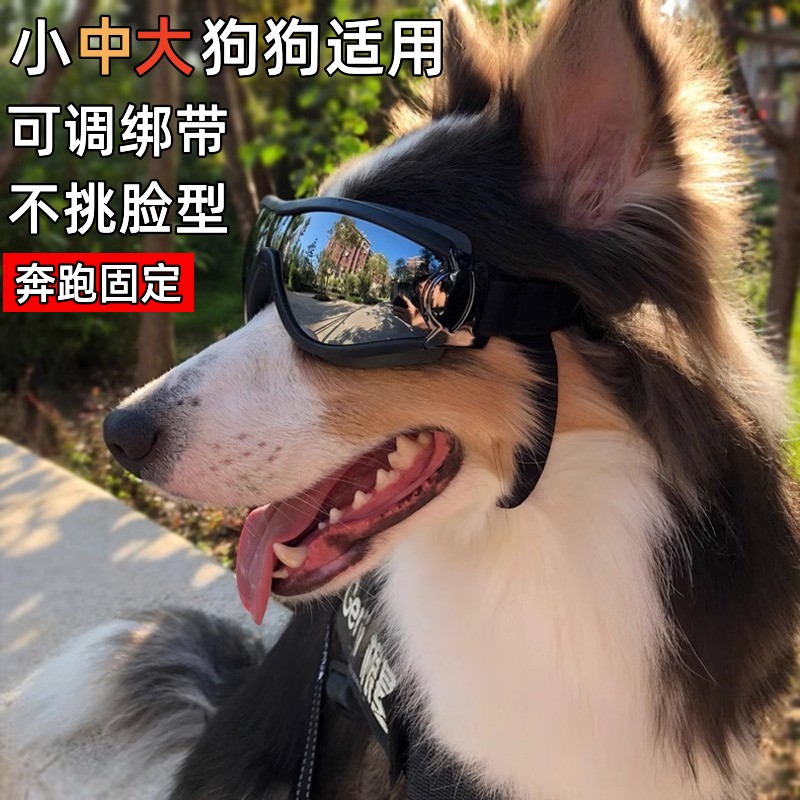 狗狗护目镜宠物眼镜狗狗头盔