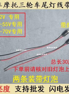 电动车转向灯刹车灯仪表灯三轮车12V/48V56V/60V小灯泡带线前后灯