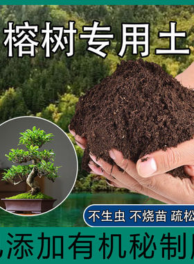 榕树专用土肥料人参榕营