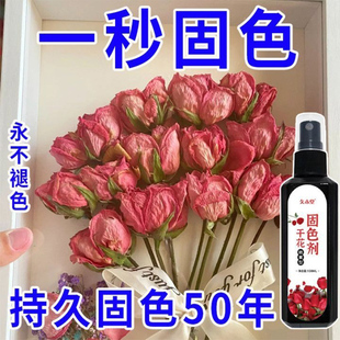 干花固色剂 鲜花干花永生花通用型护色防褪色喷雾碎落 一喷固色