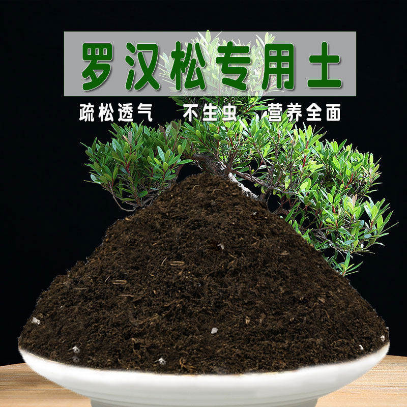 罗汉松专用土酸性盆栽土花卉花泥土壤种植土通用营养土有机土肥料