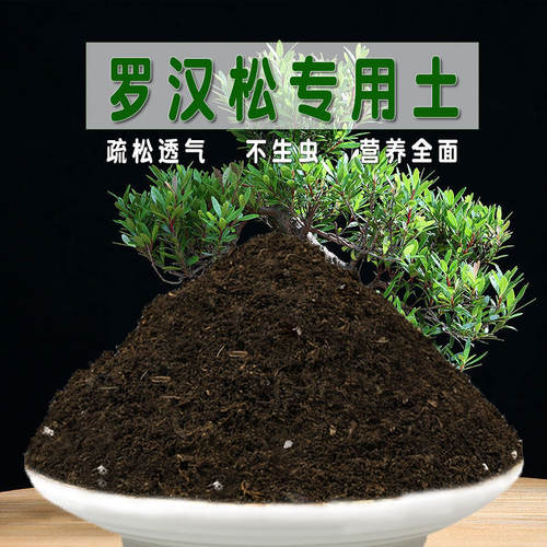 罗汉松专用土酸性盆栽土花卉花泥土壤种植土通用营养土有机土肥料