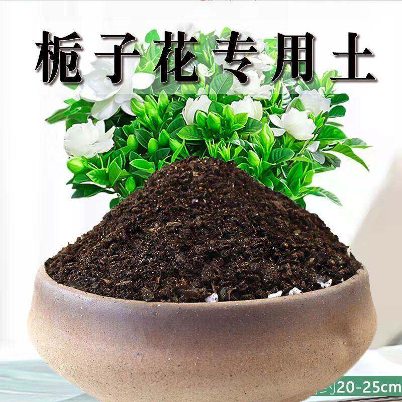 栀子花专用土栀子花土壤养花种花泥土营养土通用种植土盆栽种植土