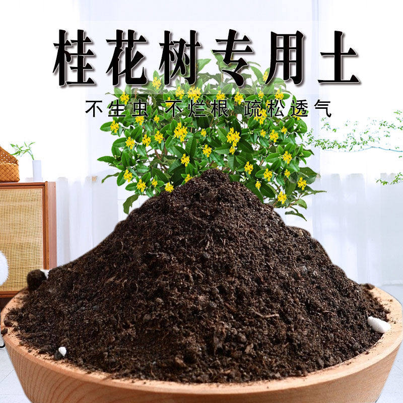 桂花树专用土桂花树专用营养土养花种花土通用种植土有机土壤肥料