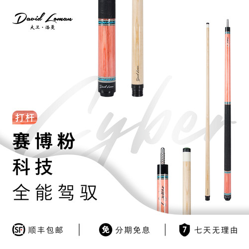 DAVIDLOMAN大卫洛曼赛博系列台球杆中式八球美式九球杆枫木前节