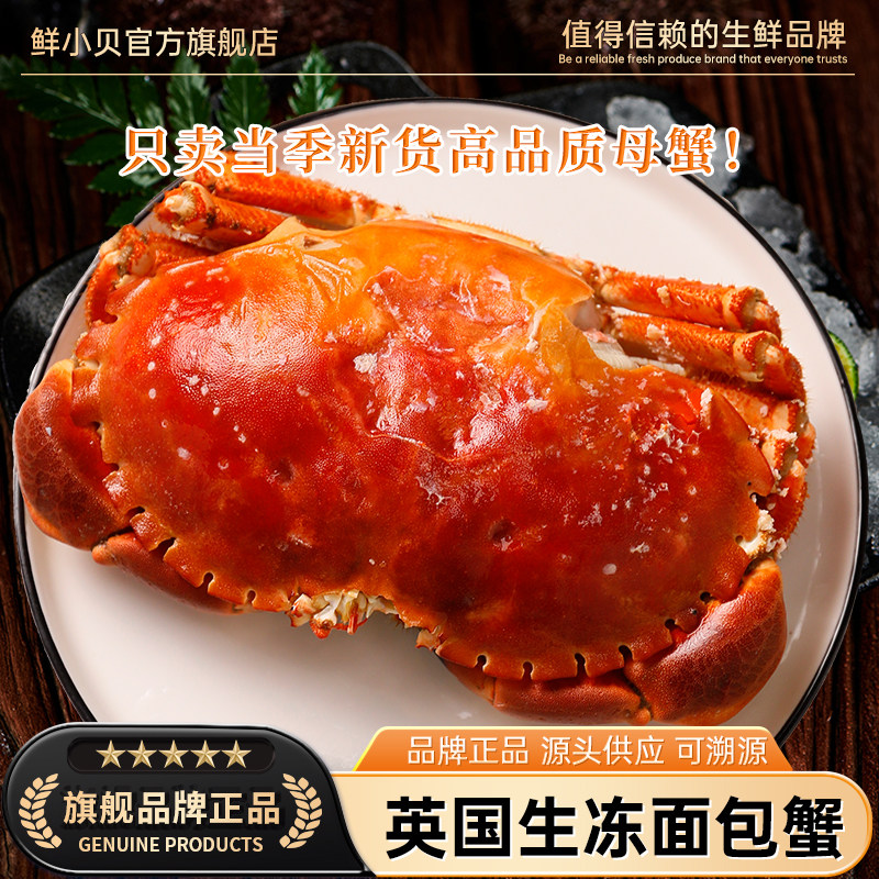 特大面包蟹无黄包赔生冻活蟹口感图片