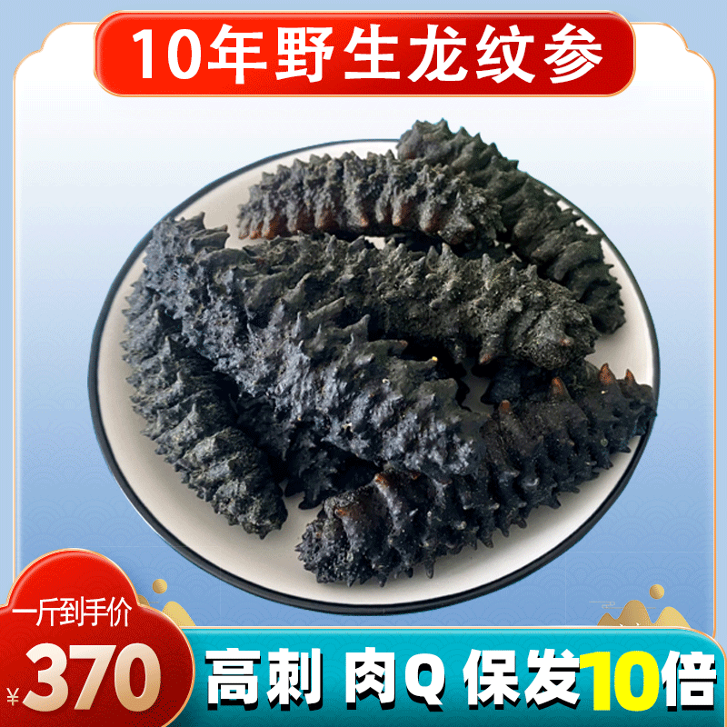 龙纹参加拿大进口野生海参淡干货北极黑刺参原货虎刺参螺纹参500g