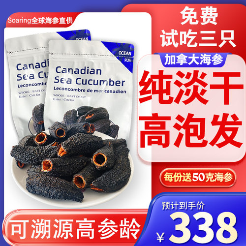 【可溯源】加拿大进口海参野生454g淡干货北极圆筒参红极参非冰岛